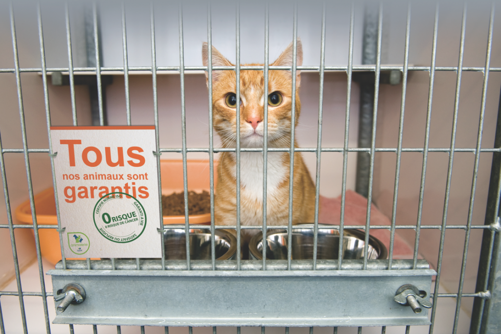 Et si... la modification génétique animale entrait dans les mœurs? L’exigence des consommateurs motiverai l’apparition de nouveaux labels qualité OGM, et des limites de “validité statistiques”